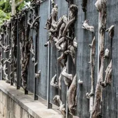 Jak zamaskować betonowy płot? 10+ pomysłów na metamorfozę