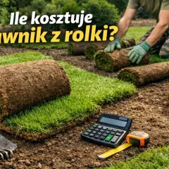 Zakładanie trawnika cena za m2. Rolki trawy czekają na ułożenie, a obok kalkulator i miarka sugerują planowanie kosztów.