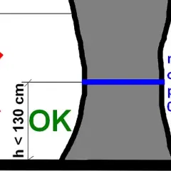 Jak zmierzyć obwód drzewa? Uniknij kar poradnik krok po kroku
