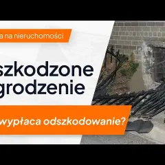 Uszkodzone ogrodzenie? Sprawdź, gdzie i jak zgłosić szkodę!