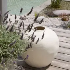 Lawenda na tarasie, obok ceramicznej wazy. Jej wymagania to słońce i przepuszczalna gleba, by pięknie kwitła.