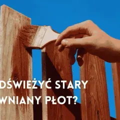Jak pomalować płot drewniany? Poradnik krok po kroku