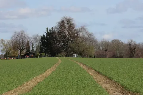 Droga przez zielone pole, zapowiadająca przekształcenie działki rolnej na budowlaną. W oddali widać domki i drzewa.