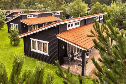 Czarny bungalow z pomarańczowym dachem, otoczony zielenią. To idealne miejsce na wypoczynek.