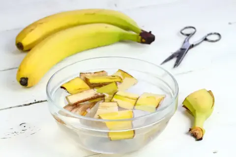 Nawóz z bananów do jakich roślin? Skórki bananów w wodzie, gotowe na odżywczy eliksir dla roślin.