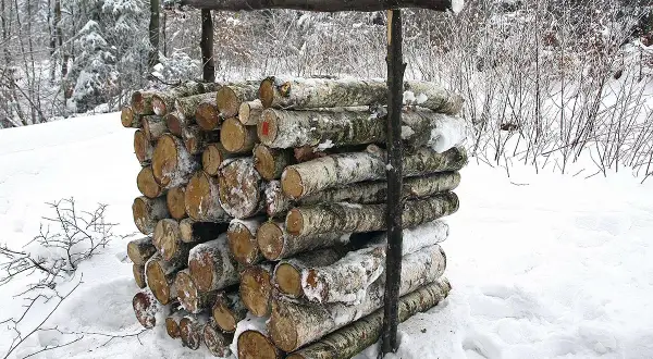 Drewno opałowe ułożone w stos, tworząc metr przestrzenny. W tle zimowy las, drzewa pokryte śniegiem.