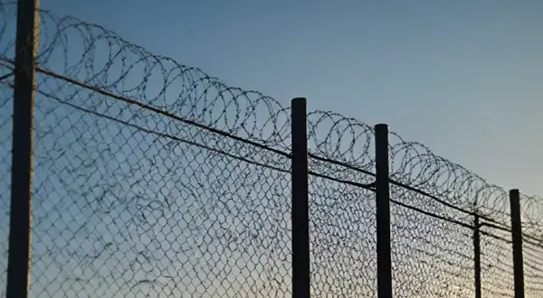 Ogrodzenie z siatki z nawiniętym drutem kolczastym na słupkach, na tle błękitnego nieba.