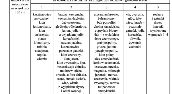 Pozwolenie na wycinkę drzew: ile ważne? Terminy i kary