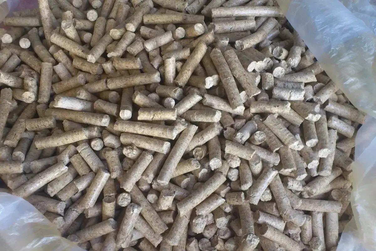 Mnóstwo drewnianych pelletów, które można wykorzystać do ogrzewania. Dowiedz się, jak zrobić pellet w domu!