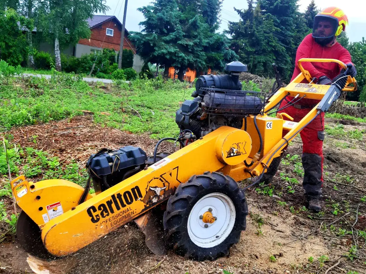 Pracownik w czerwonym stroju wykonuje frezowanie pni za pomocą żółtej maszyny Carlton.