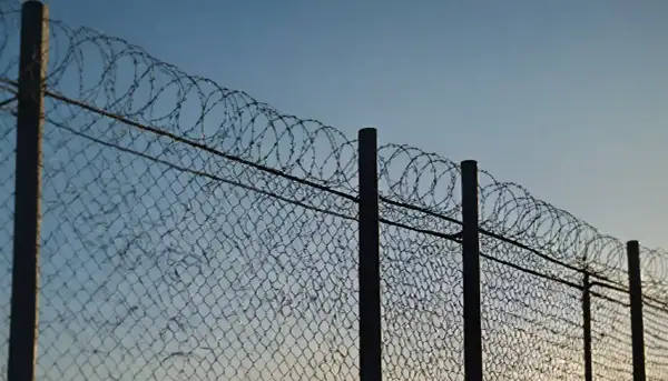 Ogrodzenie z siatki z nawiniętym drutem kolczastym na słupkach, na tle błękitnego nieba.